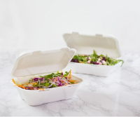 Bagasse Take Away Food Boxes