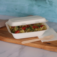 Bagasse