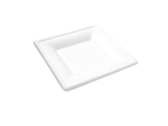 6in Square Bagasse Plate