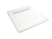 8in Square Bagasse Plate