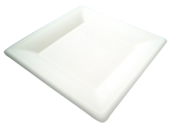 10in Rectangular Bagasse Plate