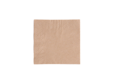 24cm 2ply Unbleached Napkin