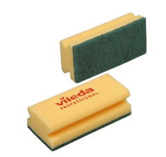 Green Abrasive Scourer