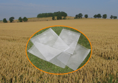 Bio Snappy Bags 150x250+10mm lip