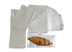 150x250x40mm Lip Seal & Re-seal bags