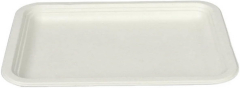 aGD 35cmx25cm Rectangle Sugarcane Plate