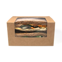 01/St61 Square Sandwich Pack Kraft