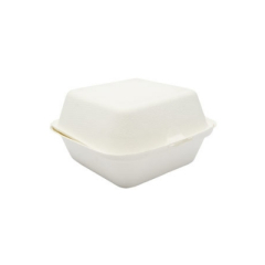 Large Bagasse Box