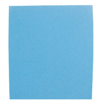 Blue Sponge Cloth