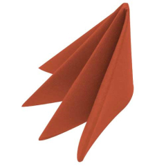 2 Ply Terracotta Napkins 40cm