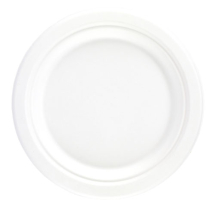 10inch Round Bagasse Plate 10inch Round Bagasse Plate