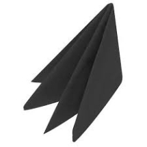 2 Ply Napkins 2 Ply Napkins